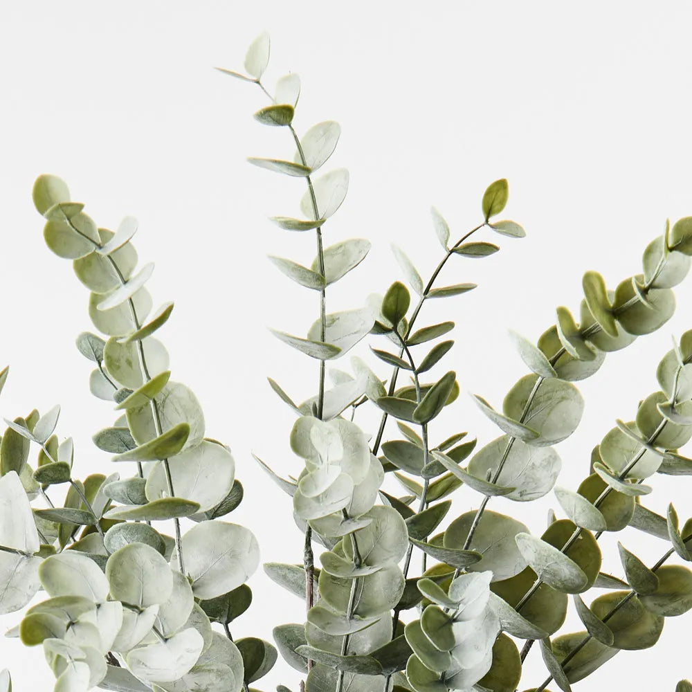 Eucalyptus Bush 44 cm