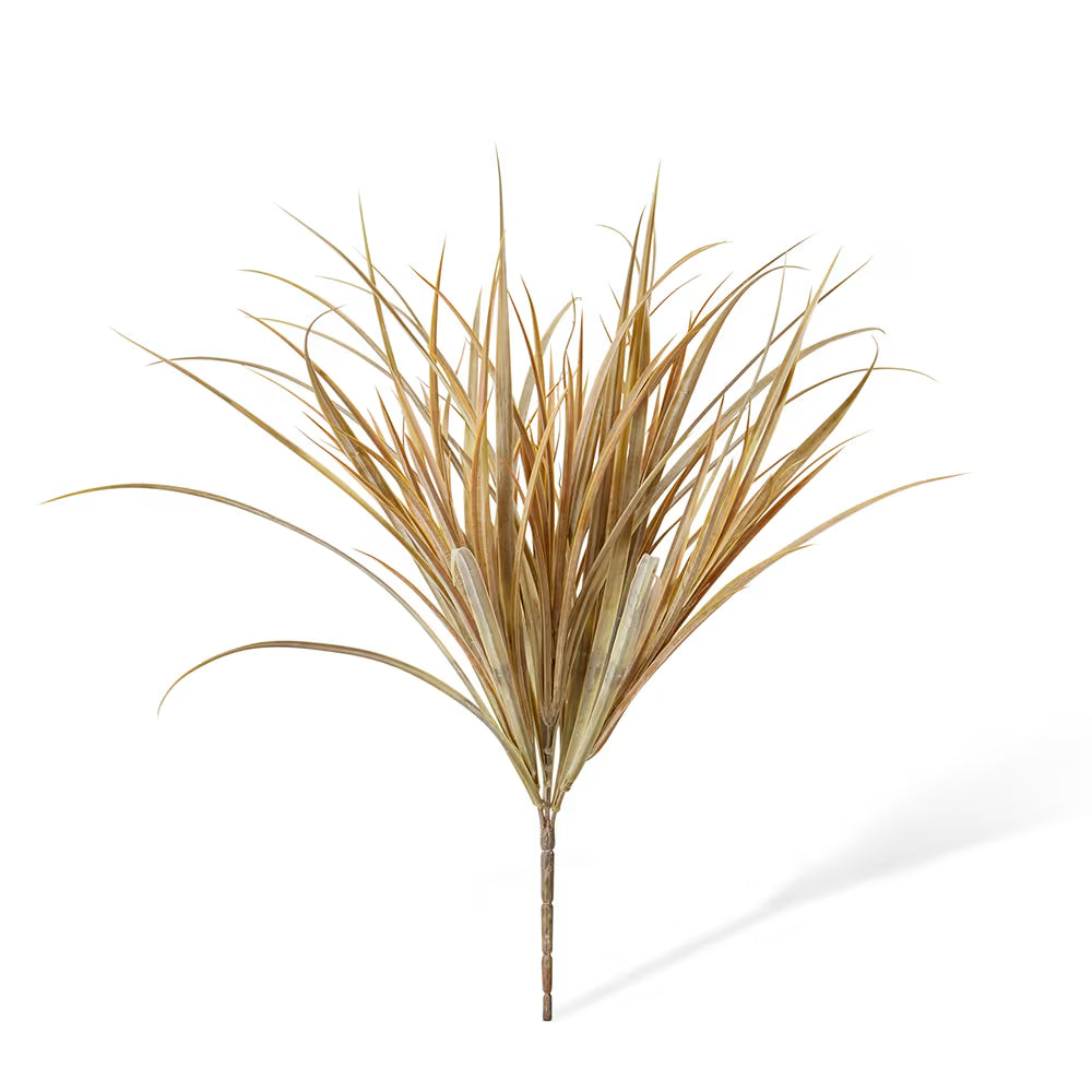 Grass Bush