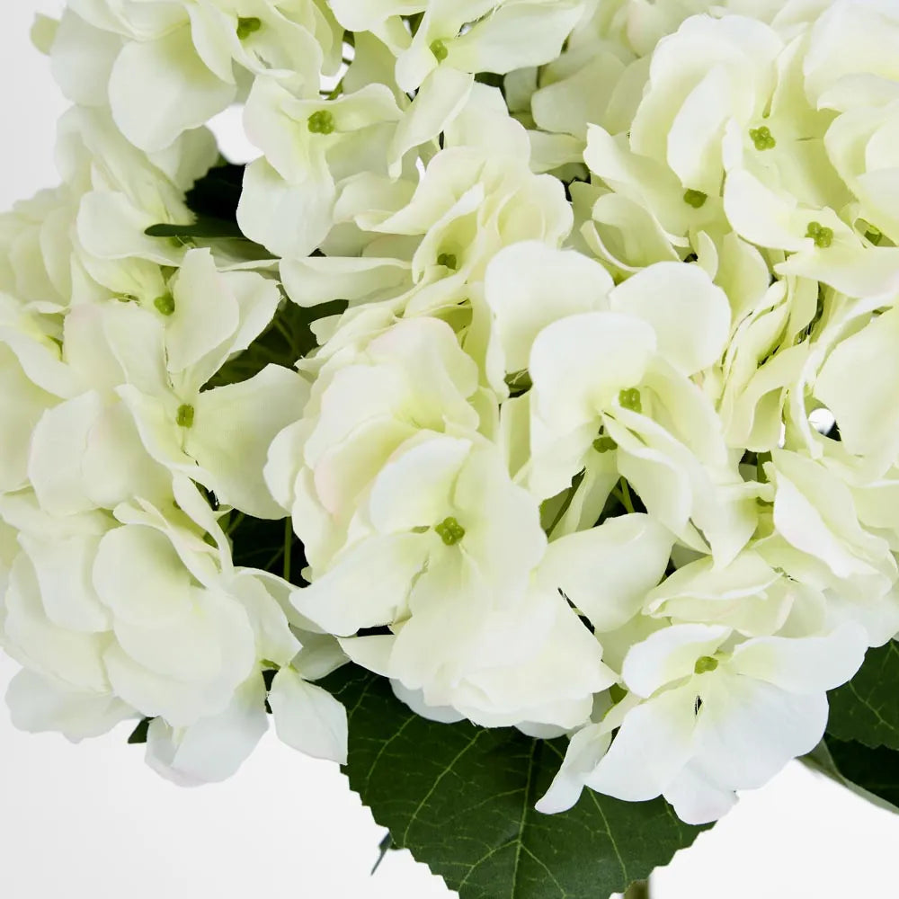 Hydrangea Bundle White - 55 cm