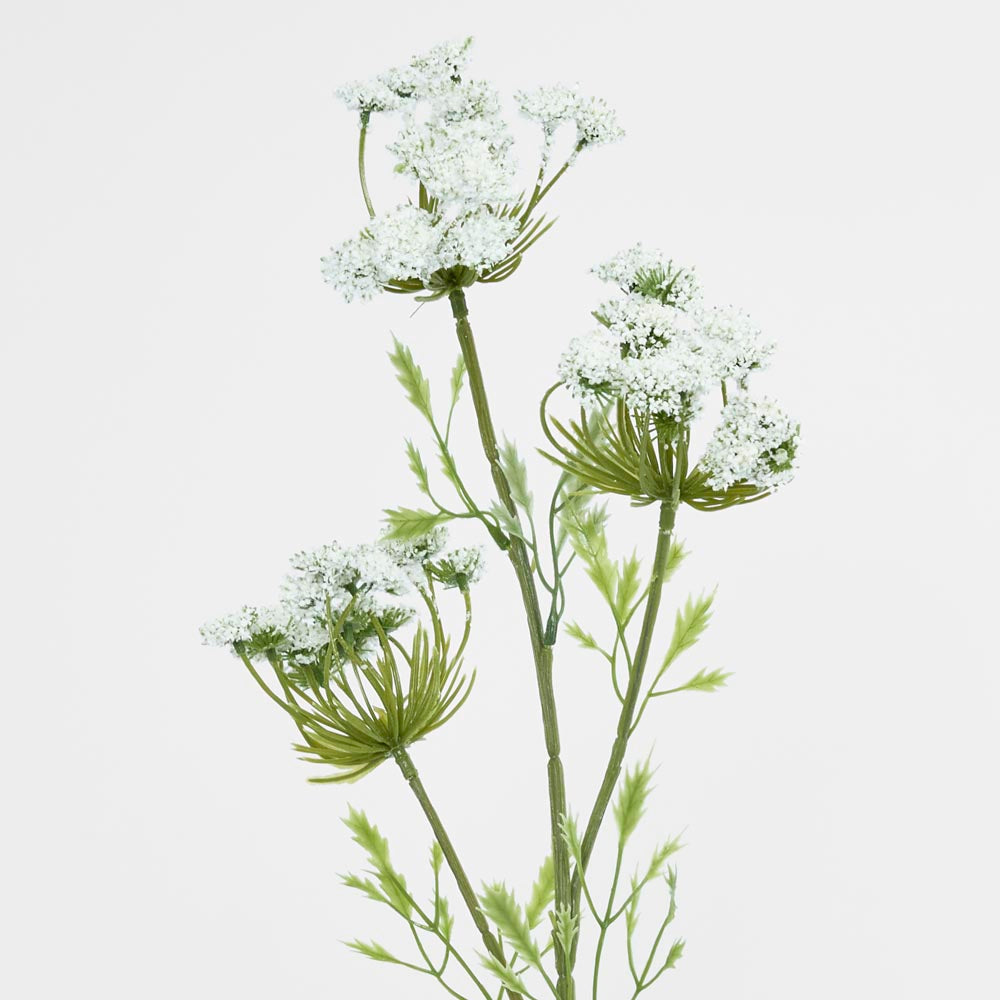 Queen Annes Lace Spray White