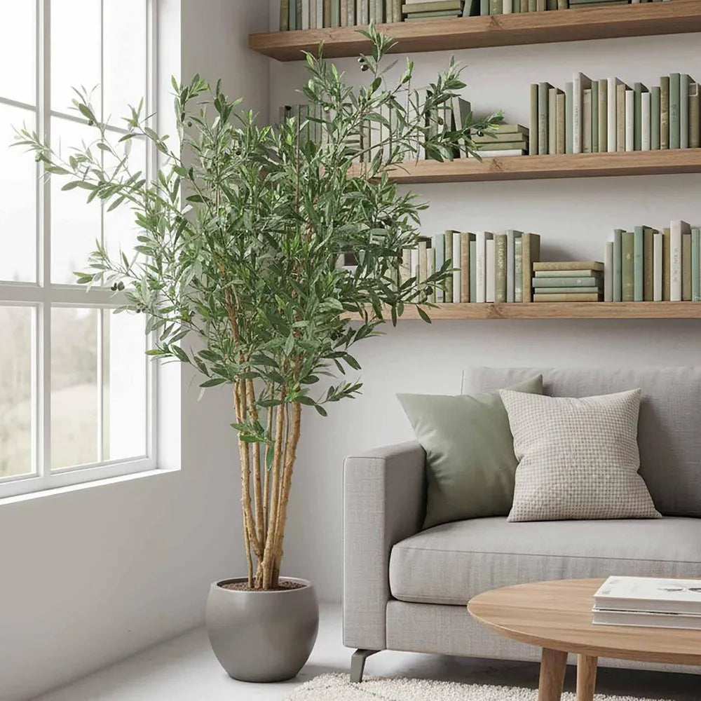 Olive Tree 120 cm