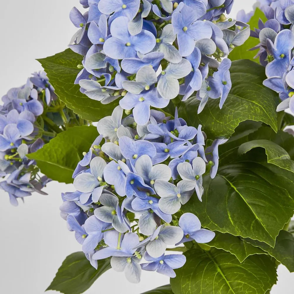 Real Touch potted Hydrangea - Blue 53 cm
