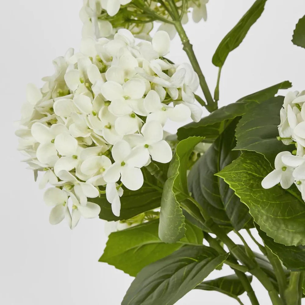 Real Touch potted Hydrangea - White 53 cm