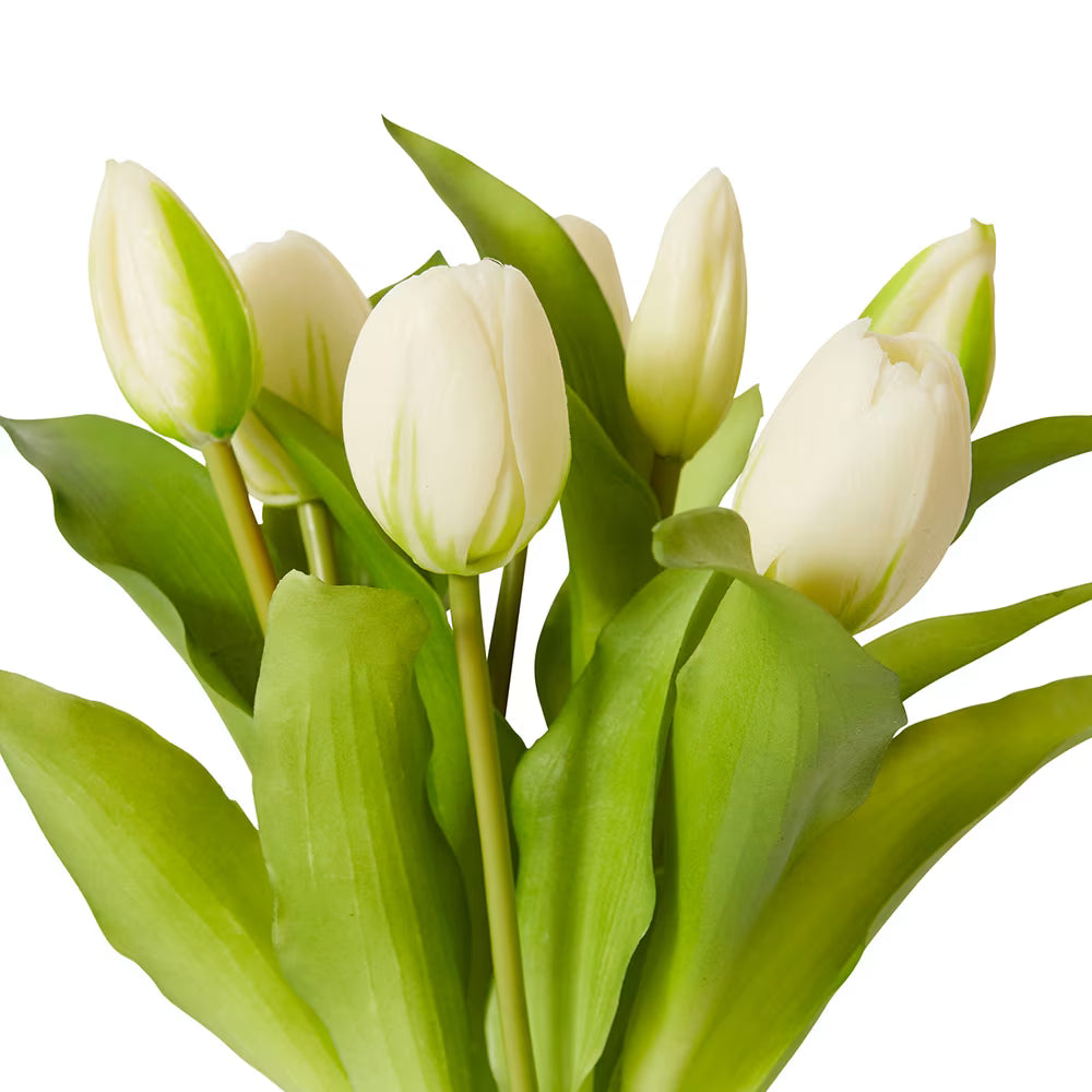 Tulip Petite Bundle in White