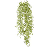 Astible Haning Vine