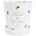 Bees Knees Planter