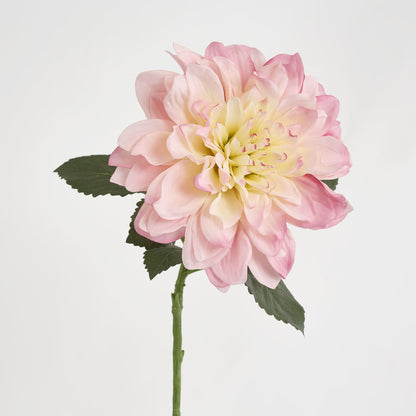 Giant Dahlia Stem 70 cm Ice Pink