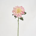 Giant Dahlia Stem 70 cm Ice Pink