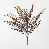 Eucalyptus Bush Burgundy Green