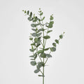 Eucalyptus Spray 97 cm