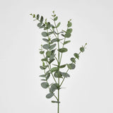 Eucalyptus Spray 97 cm