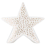 White & Gold Star