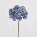 Hydrangea Dark Blue