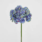 Hydrangea Dark Blue