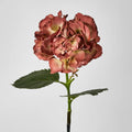 Hydrangea Stem - Rust