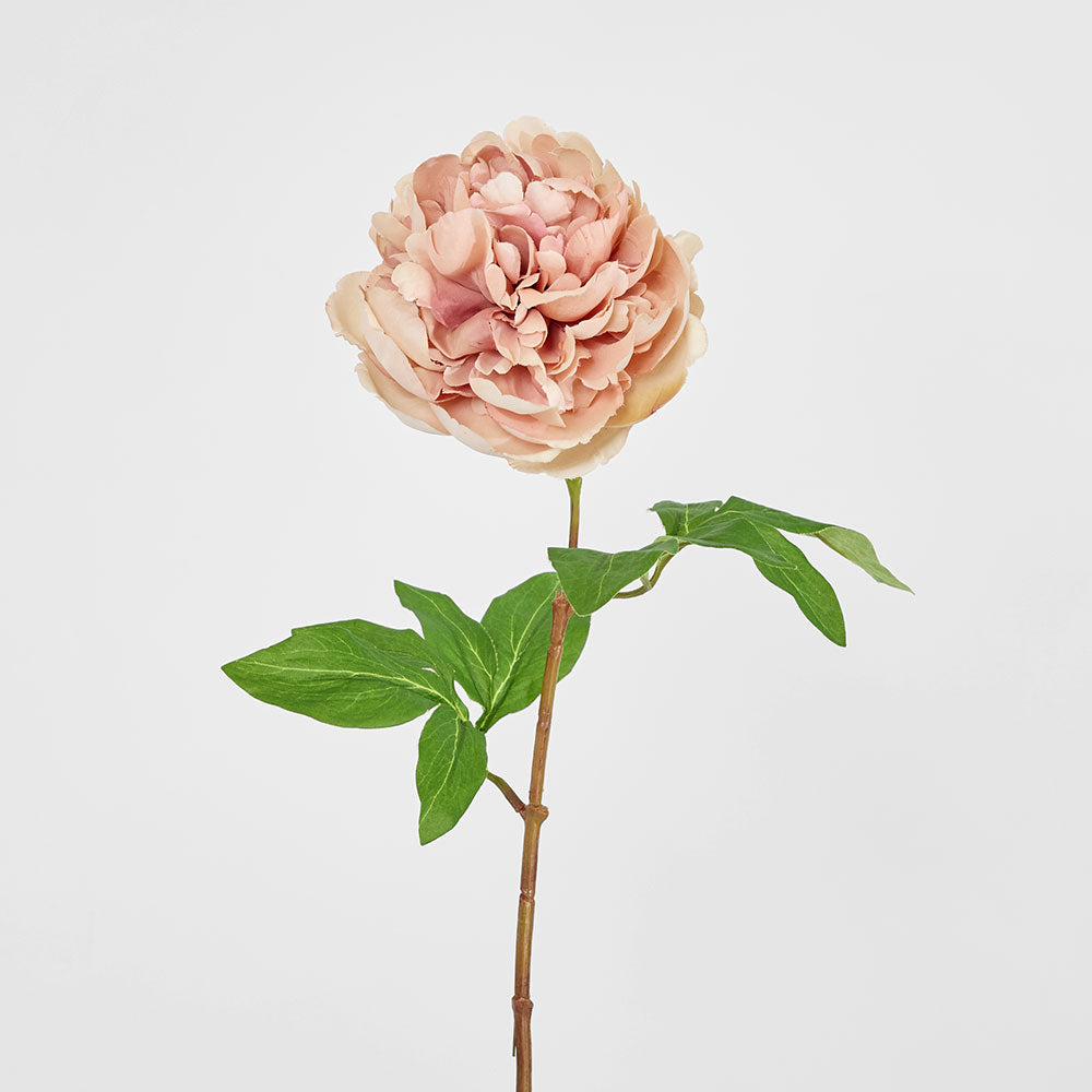 Dried Look Peony Stem 61 cm Blush