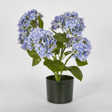 Real Touch potted Hydrangea - Blue 53 cm