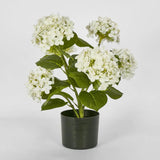 Real Touch potted Hydrangea - White 53 cm