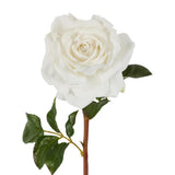 Stella Real Touch Rose Stem 50 cm White