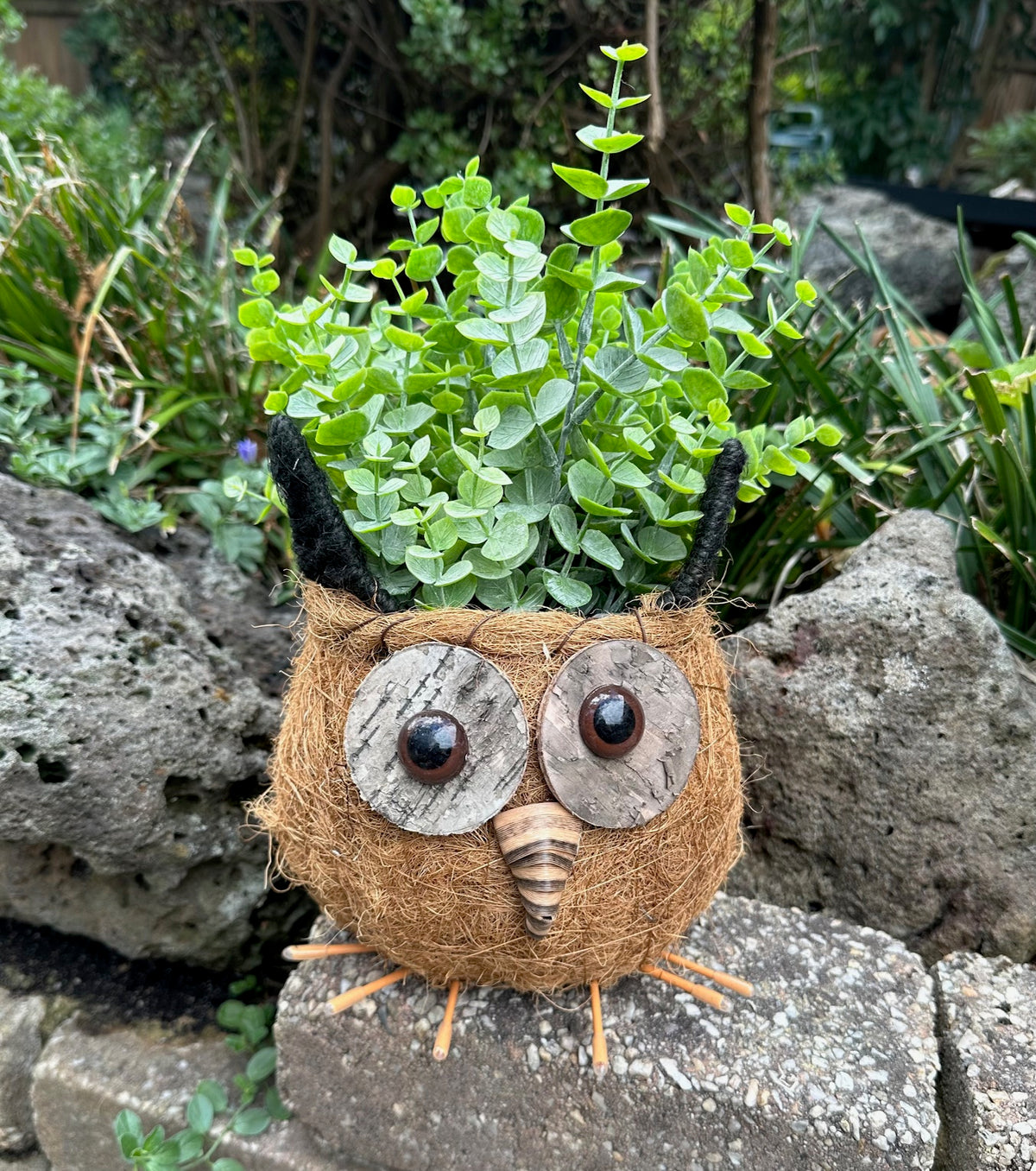 Owl Pot Holder