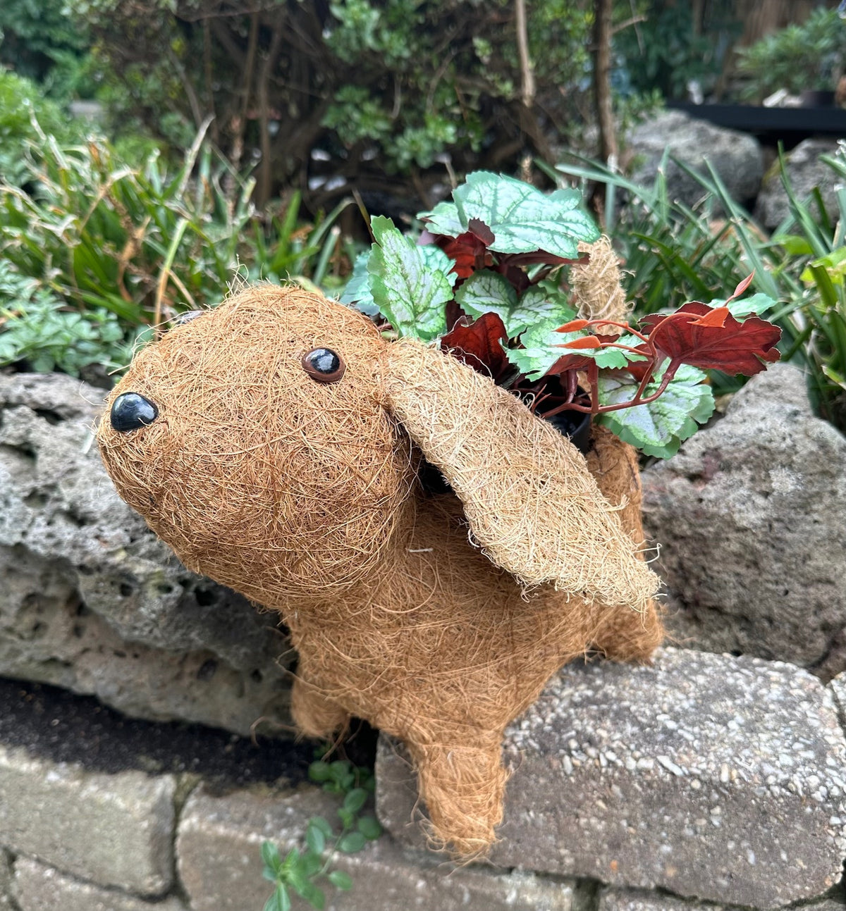 Puppy Dog Pot Holder