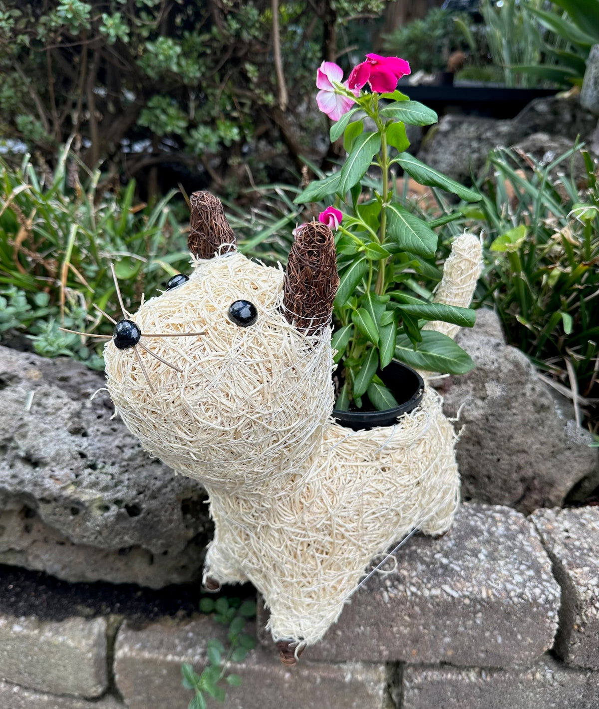 Pussy Cat Pot Holder