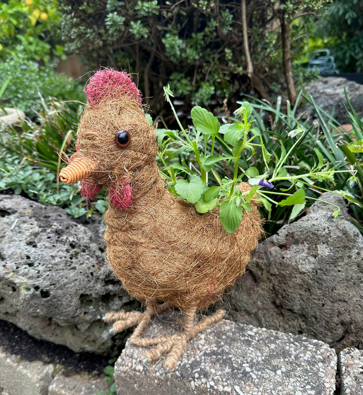 Rooster Pot Holder
