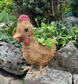 Rooster Pot Holder