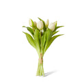 Tulip Petite Bundle in White