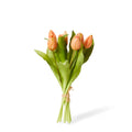 Tulip Petite Bundle Apricot 30 cm