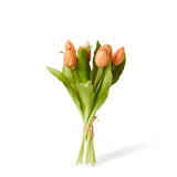 Tulip Petite Bundle Apricot 30 cm