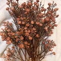 Babys Breath Bundle Apricot