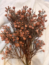 Babys Breath Bundle Apricot